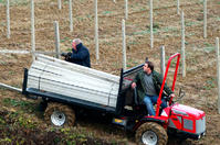 Трактор ANTONIO CARRARO модел TIGRECAR 3200/4300 GST